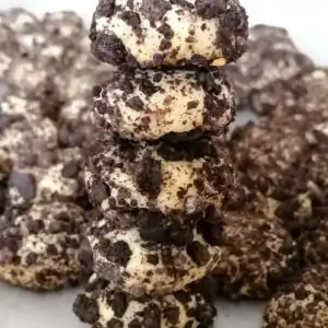 PJJ Raya Cookies (8 Resepi Premium)